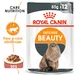 Royal Canin Cat Intense Beauty Care In Gravy